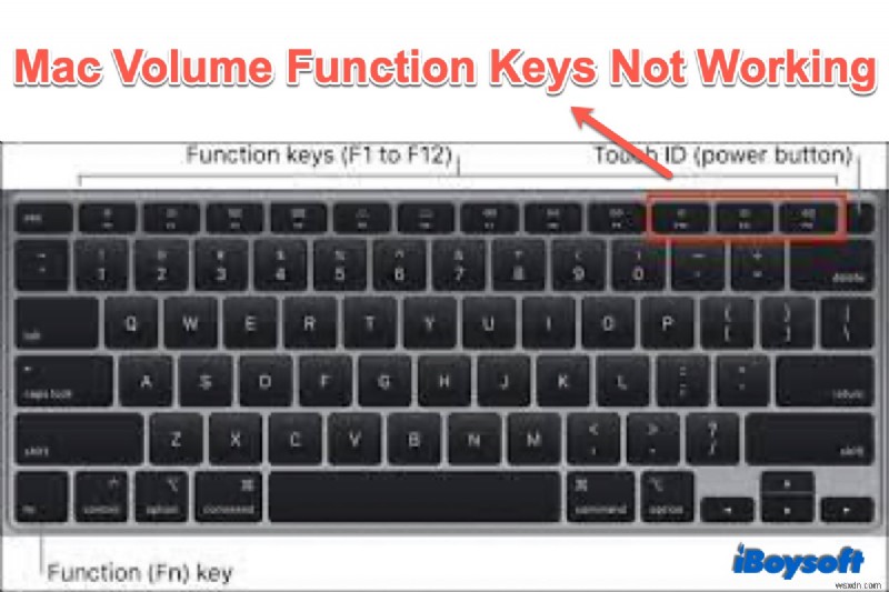 Khôi phục phím điều chỉnh âm lượng Mac – Các giải pháp đã chứng minh hiệu quả
