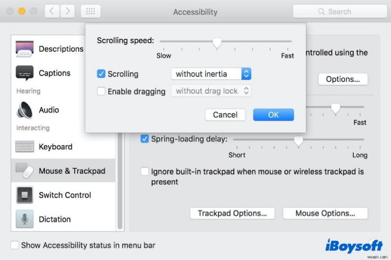 Apple Magic Mouse Không Cuộn Được? Cách Khắc Phục Nhanh & Troubleshooting