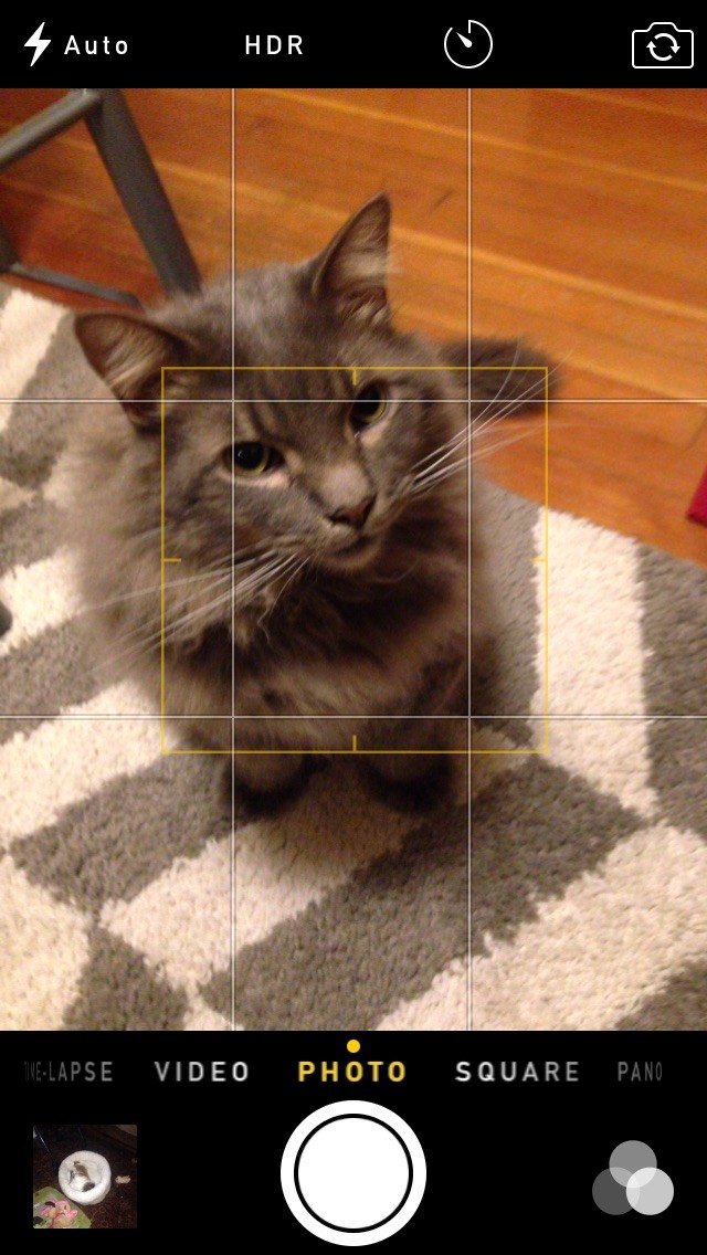 Nâng cao nhiếp ảnh iPhone: Bật lưới khung hình (Viewfinder Grid) để khung cảnh hoàn hảo