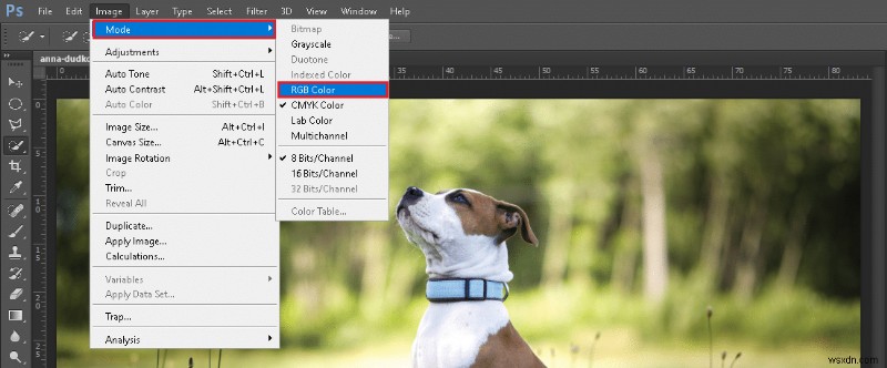 Chuyển đổi ảnh sang chế độ RGB trong Photoshop: Hướng dẫn từng bước