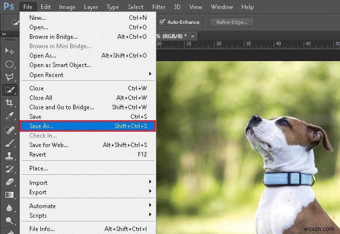 Chuyển đổi ảnh sang chế độ RGB trong Photoshop: Hướng dẫn từng bước