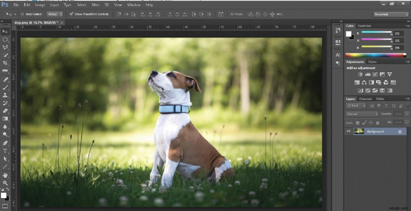 Chuyển đổi ảnh sang chế độ RGB trong Photoshop: Hướng dẫn từng bước