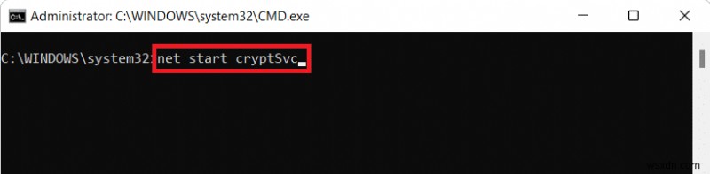 Cách khắc phục lỗi cập nhật Windows 11 nhanh chóng