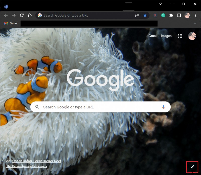 Khắc Phục Lỗi Thiếu Thumbnail Trang Thường Ghé Trên Tab Mới Google Chrome