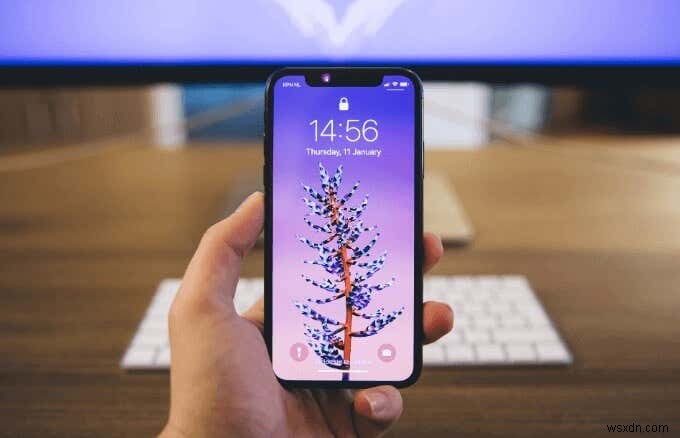 Làm Chủ Chế Độ Dữ Liệu Thấp (Low Data Mode) Trên iPhone: Bật/Tắt Dễ Dàng