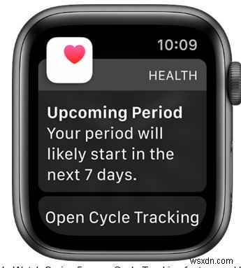 Thiết Lập Và Sử Dụng Theo Dõi Chu Kỳ Trên iOS 13 & WatchOS 6 – Hướng Dẫn Bước Đi Bước