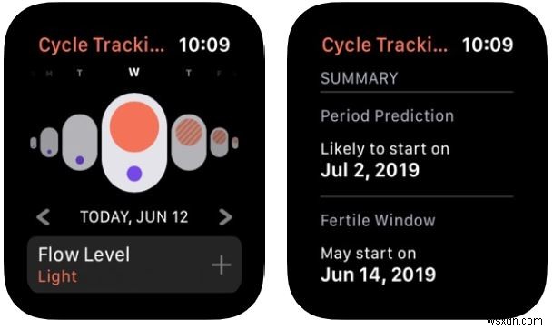 Thiết Lập Và Sử Dụng Theo Dõi Chu Kỳ Trên iOS 13 & WatchOS 6 – Hướng Dẫn Bước Đi Bước