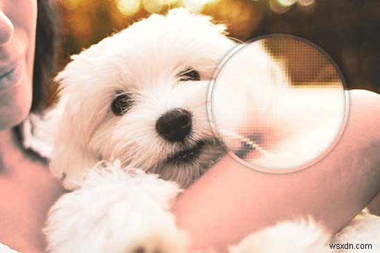 Tại Sao Ảnh Bị Mờ Khi Zoom: Hiểu Về Định Dạng File Hình Ảnh