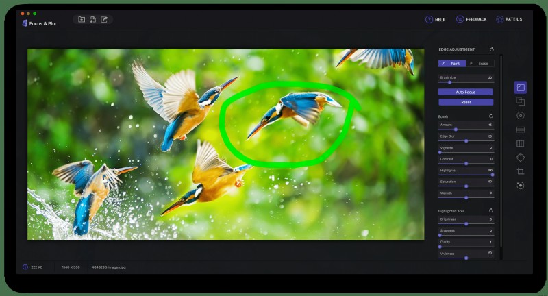 Nâng Cao Kỷ Niệm: Làm Chủ Kỹ Thuật Focus & Blur (Tập Trung & Làm Mờ)
