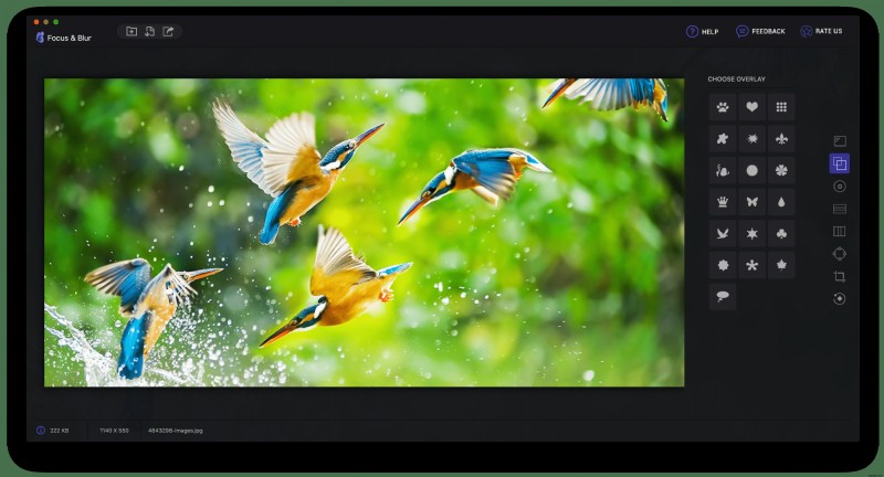 Nâng Cao Kỷ Niệm: Làm Chủ Kỹ Thuật Focus & Blur (Tập Trung & Làm Mờ)