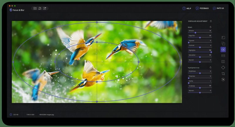 Nâng Cao Kỷ Niệm: Làm Chủ Kỹ Thuật Focus & Blur (Tập Trung & Làm Mờ)
