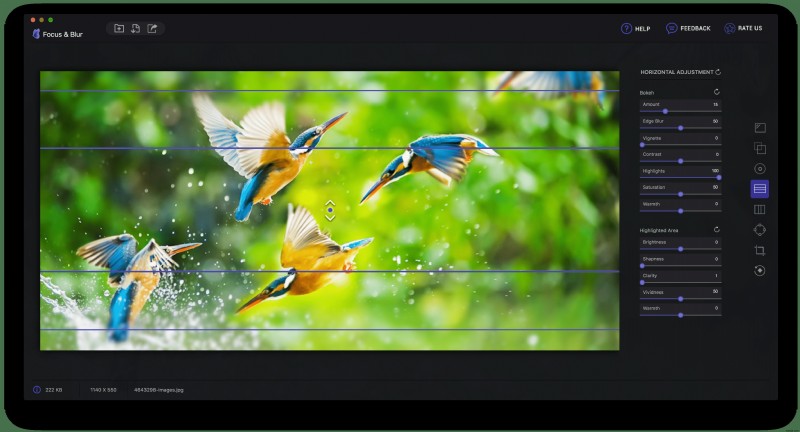 Nâng Cao Kỷ Niệm: Làm Chủ Kỹ Thuật Focus & Blur (Tập Trung & Làm Mờ)