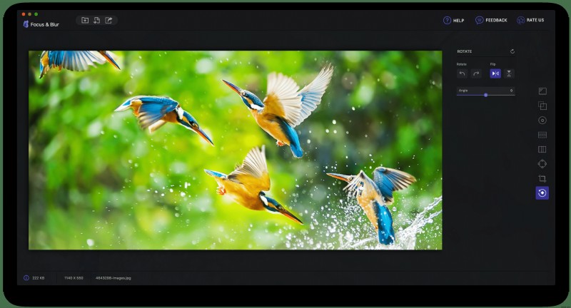 Nâng Cao Kỷ Niệm: Làm Chủ Kỹ Thuật Focus & Blur (Tập Trung & Làm Mờ)
