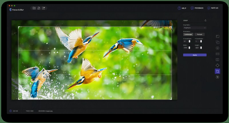 Nâng Cao Kỷ Niệm: Làm Chủ Kỹ Thuật Focus & Blur (Tập Trung & Làm Mờ)