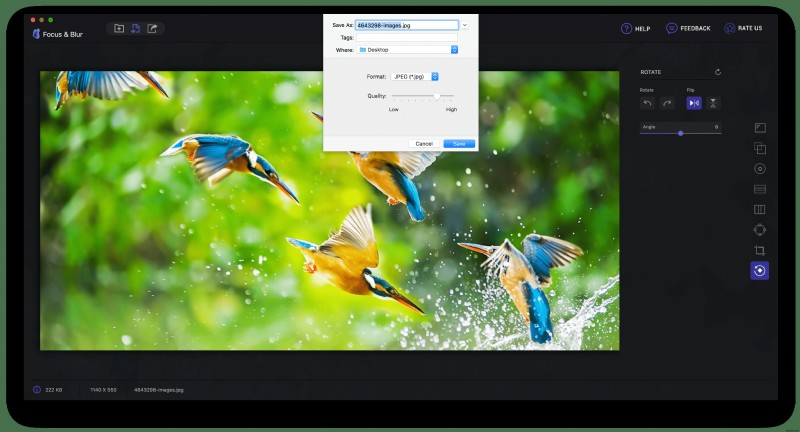Nâng Cao Kỷ Niệm: Làm Chủ Kỹ Thuật Focus & Blur (Tập Trung & Làm Mờ)