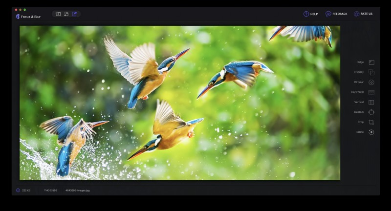 Nâng Cao Kỷ Niệm: Làm Chủ Kỹ Thuật Focus & Blur (Tập Trung & Làm Mờ)