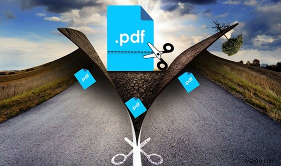 Hướng Dẫn Bước Đi: Tách Trang PDF Trên Android & iOS Không Cần Phần Mềm
