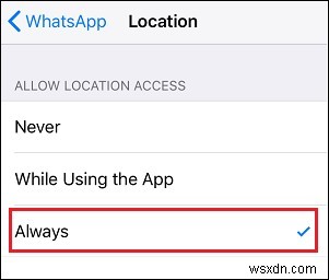 Chia Sẻ Vị Trí Thực Tế Trên WhatsApp: Hướng Dẫn iPhone & Android