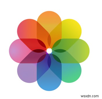Mất ảnh & video sau cập nhật iOS 12.4? Cách khôi phục