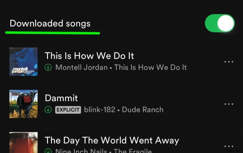 Cách dùng Spotify Offline trên iPhone: Tải nhạc & Nghe không cần dữ liệu