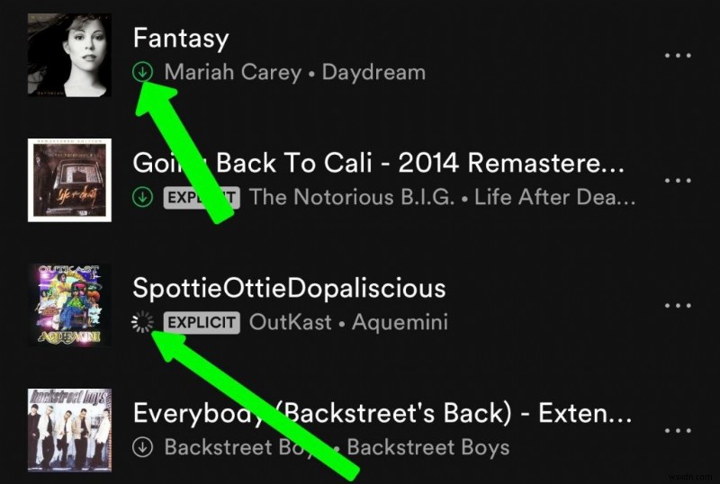 Cách dùng Spotify Offline trên iPhone: Tải nhạc & Nghe không cần dữ liệu