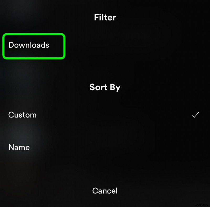 Cách dùng Spotify Offline trên iPhone: Tải nhạc & Nghe không cần dữ liệu