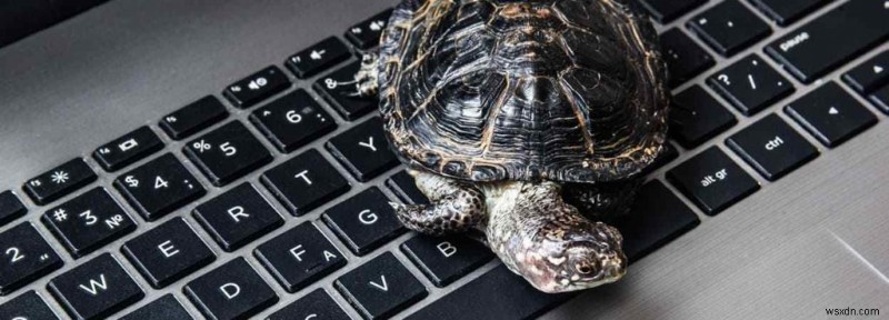 Tăng Năng Suất: Cách Xóa File Trùng Lặp Giúp Hệ Thống Hoạt Động Hiệu Quả