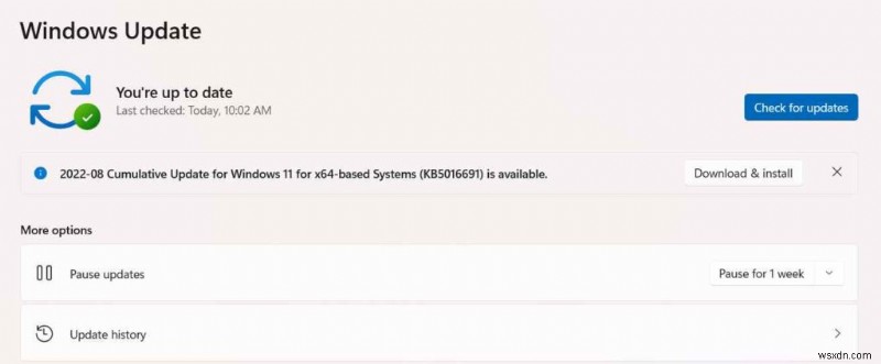 Khắc Phục Vấn Đề Độ Phân Giải Màn Hình Trên Windows 11: Các Cách Khắc Phục Nhanh