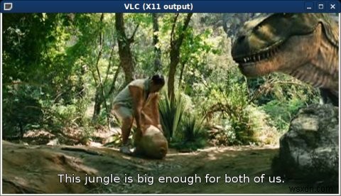 VideoLAN (VLC) Media Player: Một Năm Hiệu Suất Vượt Trội