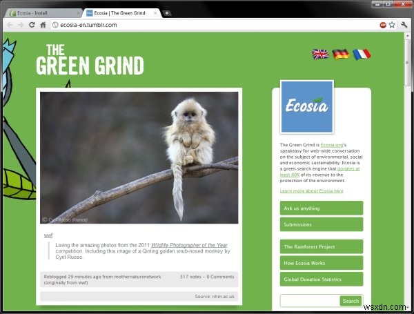 Ecosia: Cỗ máy Tìm kiếm Thân thiện Môi trường Trồng Cây