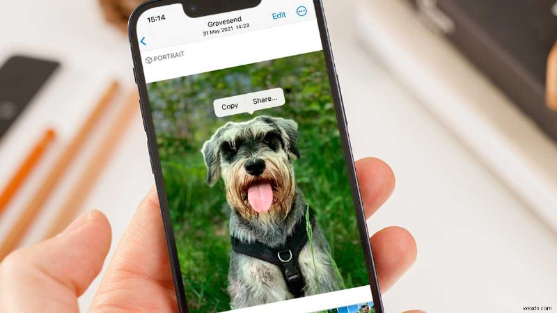 Làm chủ tính năng cắt ảnh (Photo Cutout) iOS 16: Cách tách đối tượng khỏi nền