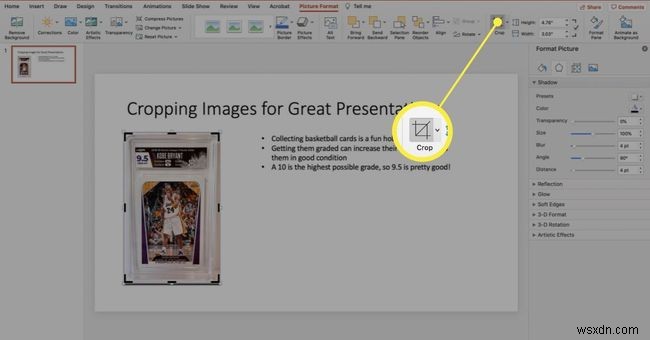 Cách cắt ảnh trong PowerPoint