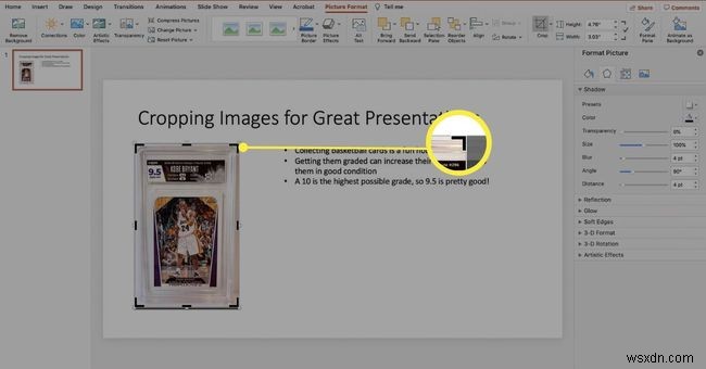 Cách cắt ảnh trong PowerPoint