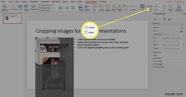 Cách cắt ảnh trong PowerPoint