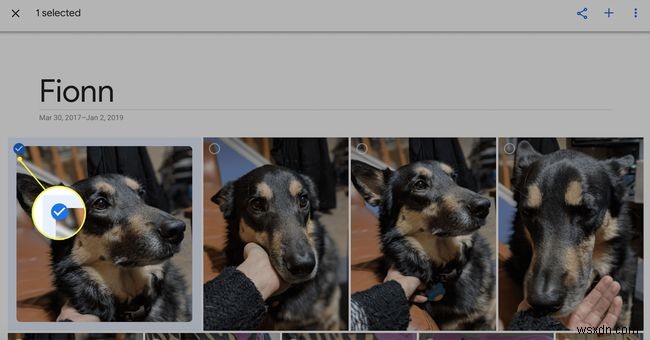 Cách tạo trình chiếu với Google Photos