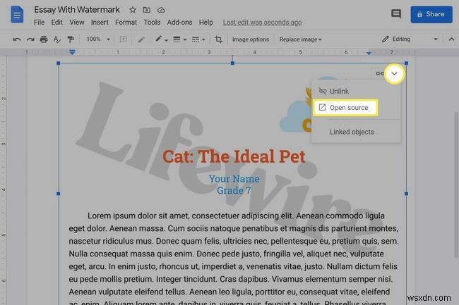 Cách thêm hình mờ vào Google Documents