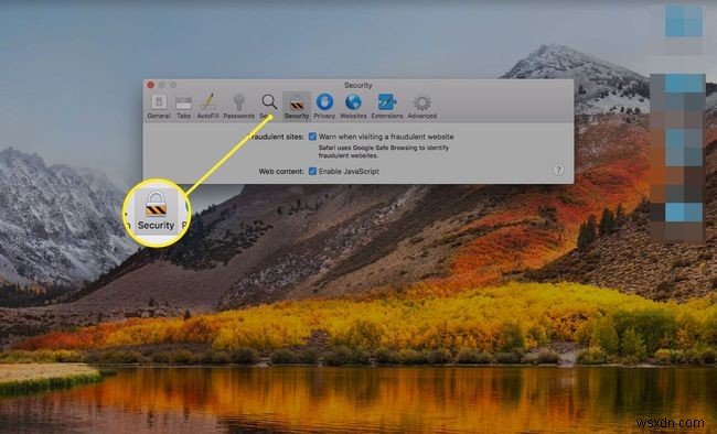 Cách xem, quản lý hoặc xóa plugin Safari