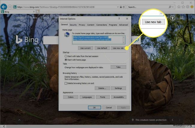 Cách thay đổi trang chủ của bạn trong Internet Explorer