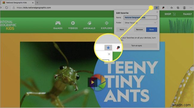 Cách thêm trang web vào mục ưa thích trong Microsoft Edge