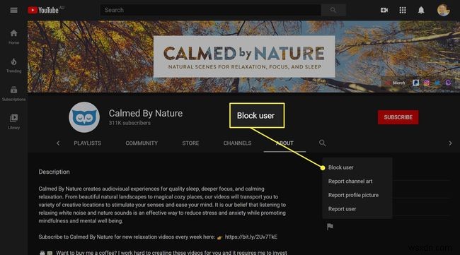 Cách chặn kênh YouTube