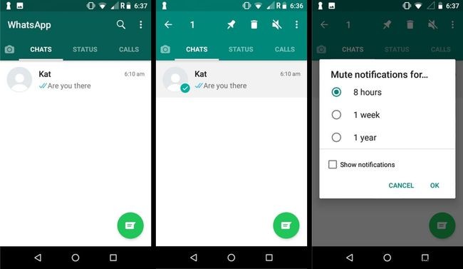 Cách sử dụng WhatsApp Mute