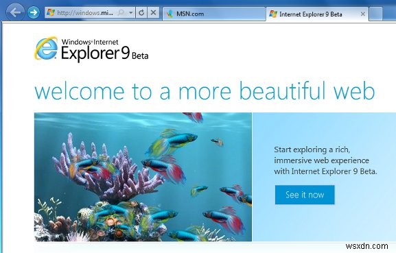 Đánh giá Internet Explorer 9 Beta