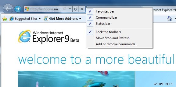 Đánh giá Internet Explorer 9 Beta