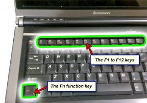Cách quản lý bàn di chuột của bạn và tránh lỗi nhập không cần thiết