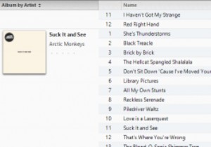 Dễ dàng tùy chỉnh iTunes trên Windows với Skins và sắp xếp