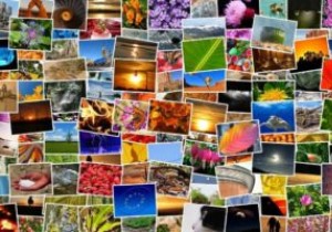 Cách sắp xếp ảnh bằng ứng dụng Photos trên Windows 10