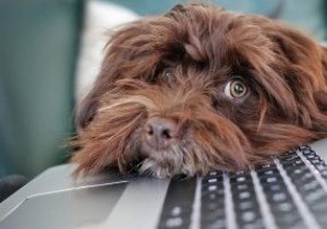 Cách phát hiện Keylogger trong Hệ thống Windows