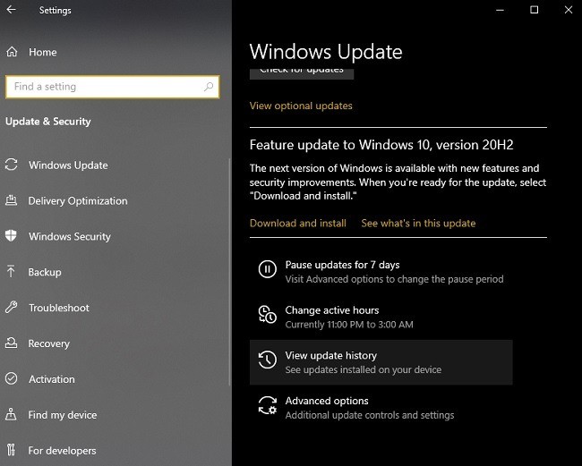 Danh mục Microsoft Update là gì và cách sử dụng