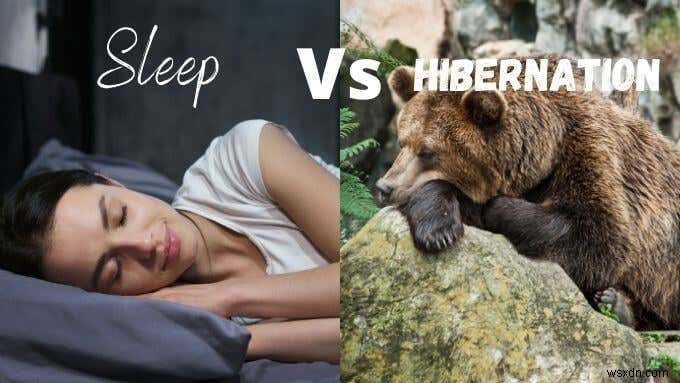 Sự khác biệt giữa Sleep và Hibernate trong Windows 10 là gì?