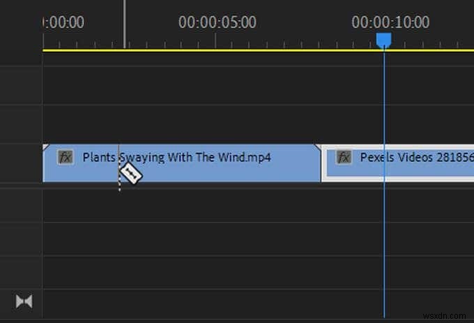 Hướng dẫn Adobe Premiere cho người mới bắt đầu 